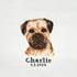 Trimits Large Counted Cross Stitch Kit: Border Terrier