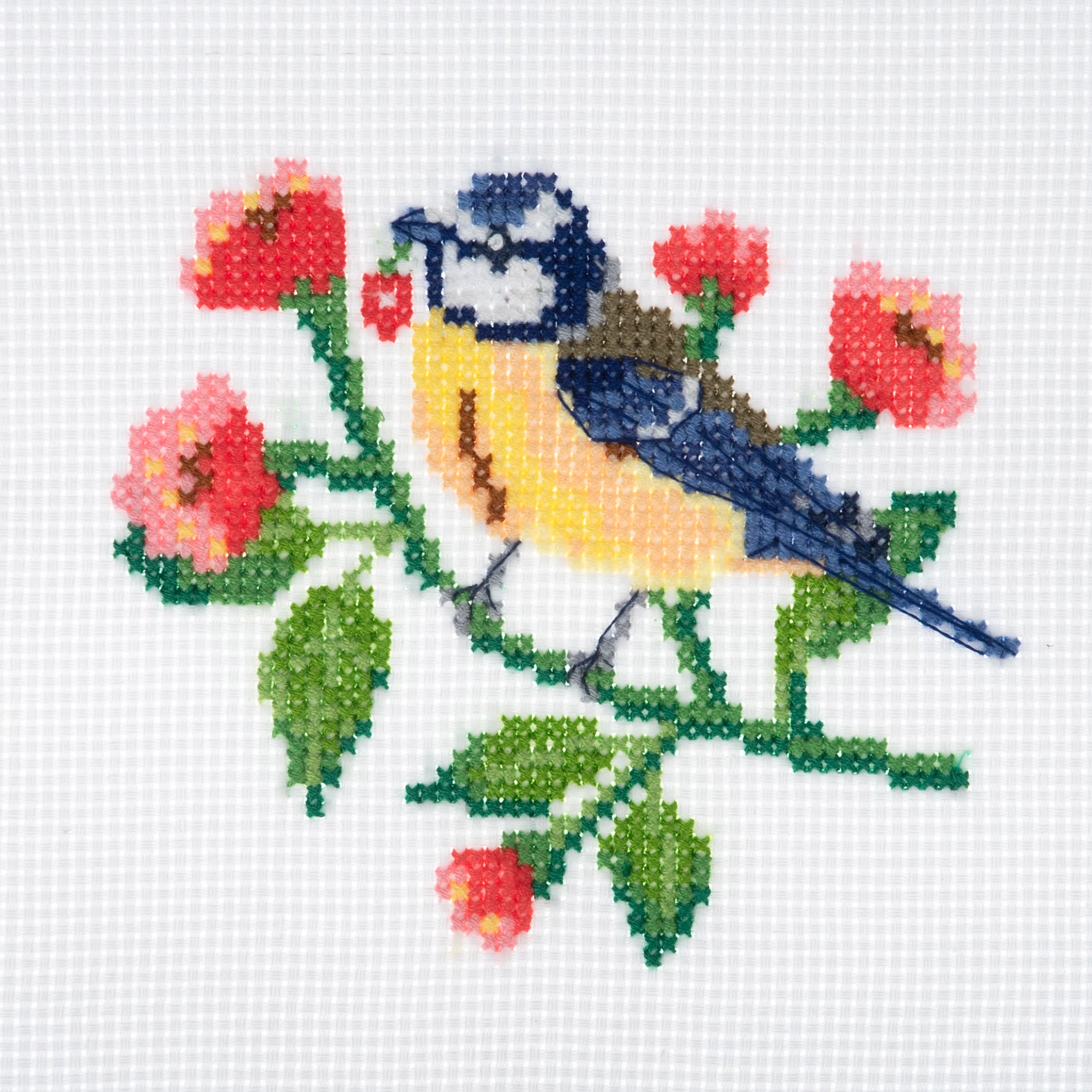 Trimits Mini Counted Cross Stitch Kit: Bird