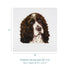 Trimits Mini Counted Cross Stitch Kit: Springer Spaniel | Buy Online from The Home Crafters