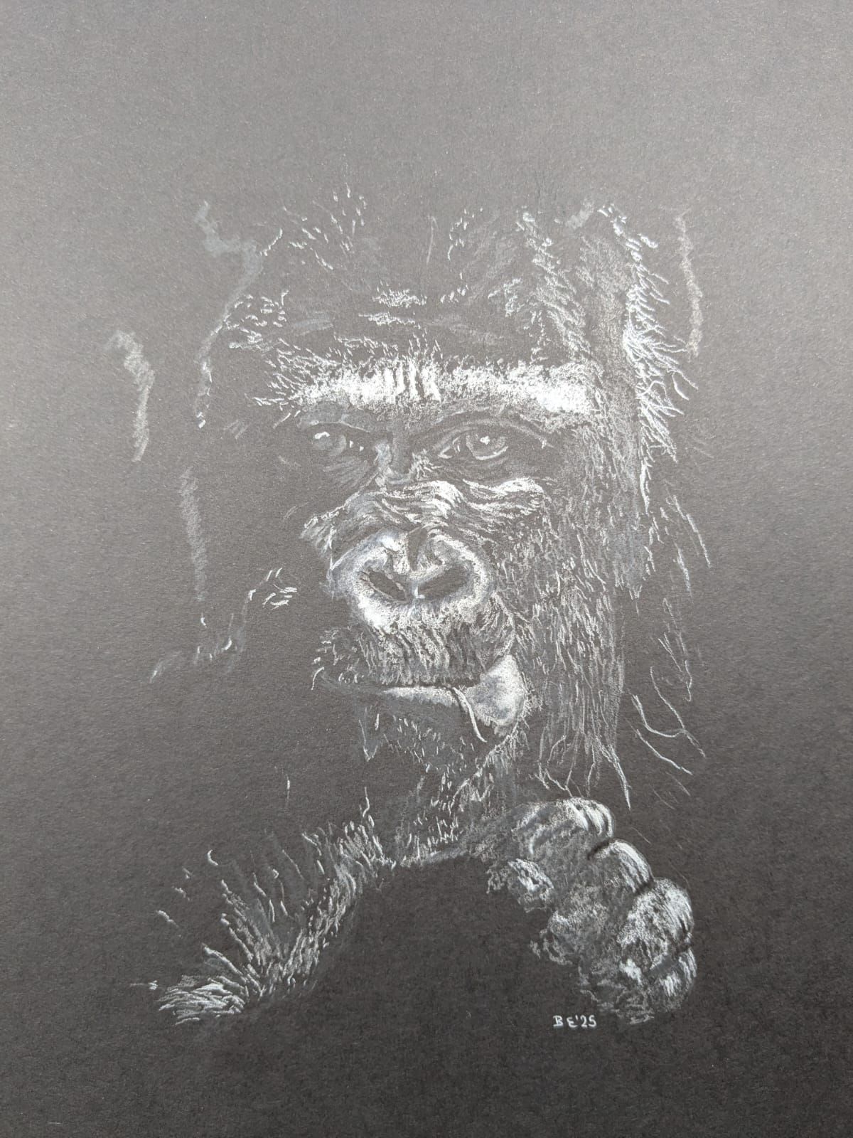 <b>2026</b> Art for Beginners - Getting Started in Coloured Pencil - monthly on a Saturday | Buy Online from The Home Crafters