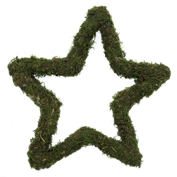 Natural Green Moss Wreath: Star - various sizes | Buy Online from The Home Crafters