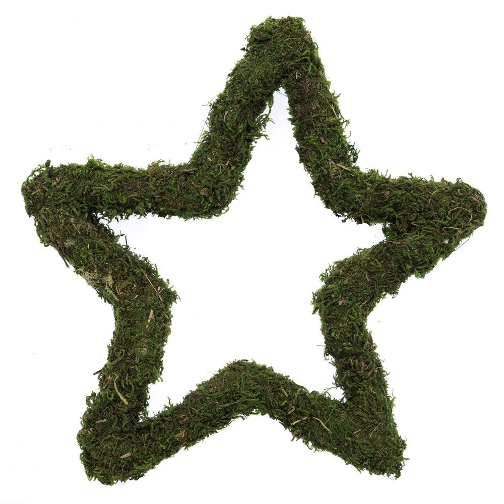 Natural Green Moss Wreath: Star - various sizes | Buy Online from The Home Crafters