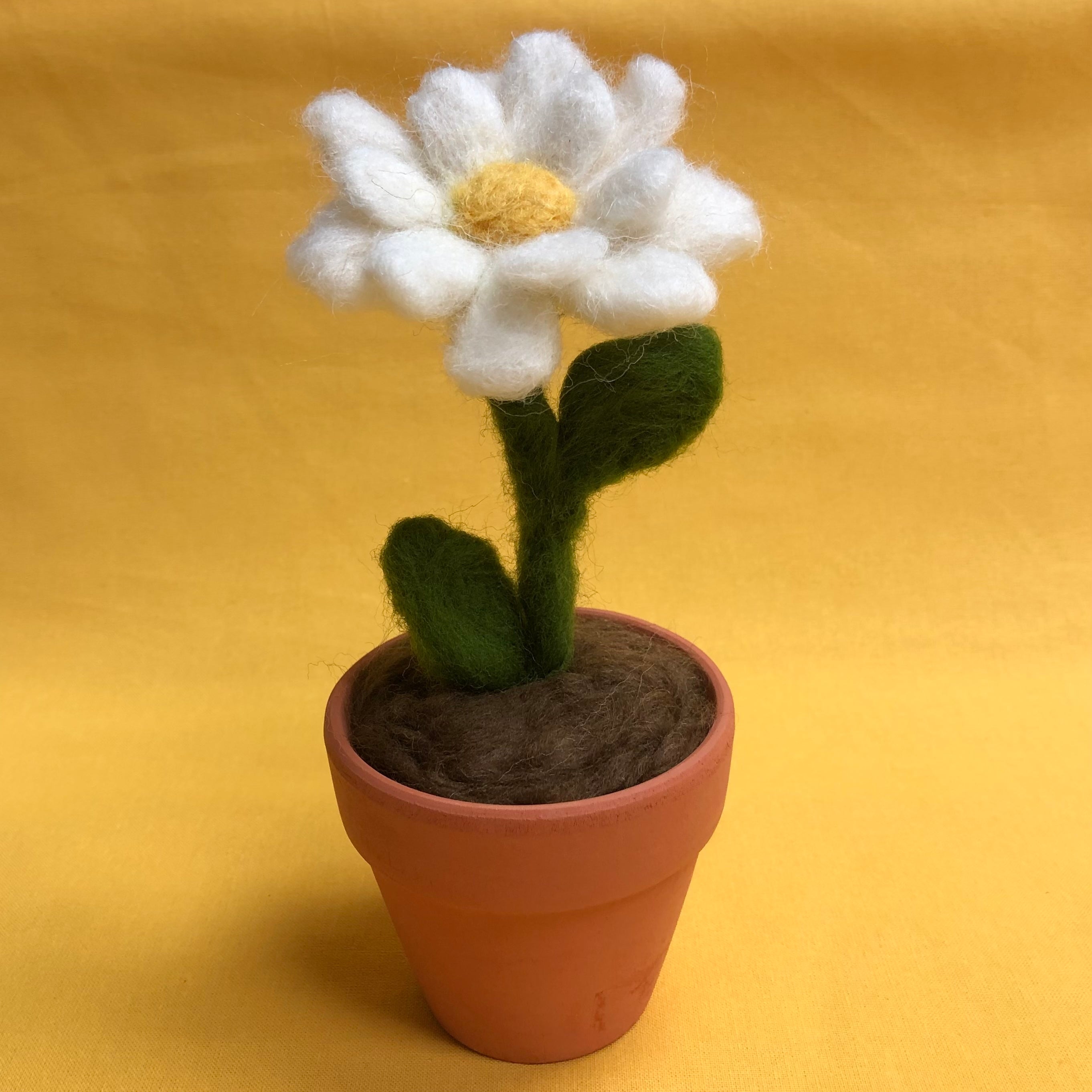 Needle Felting for Beginners: Spring Daisy in a Pot - Saturday 3rd May