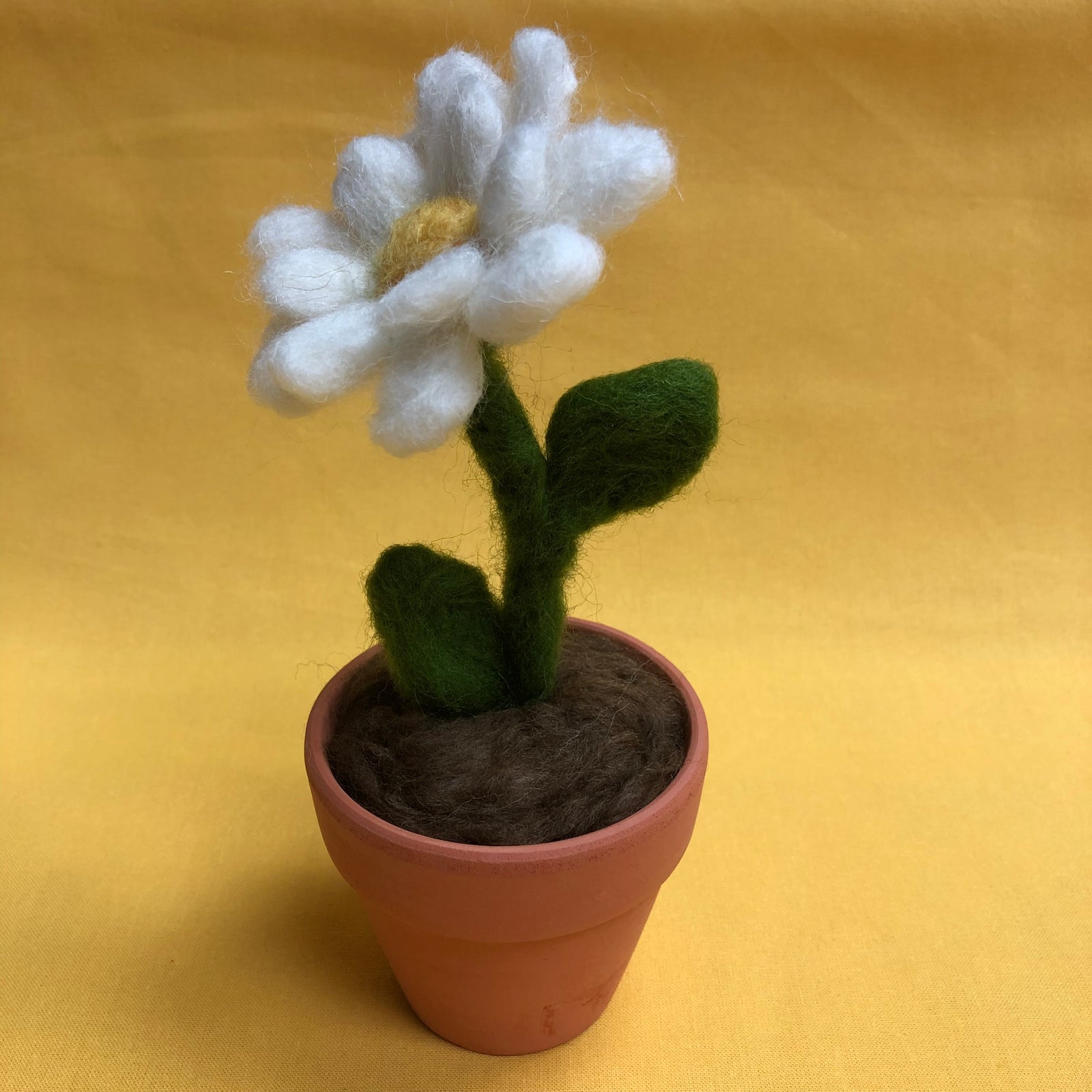 Needle Felting for Beginners: Spring Daisy in a Pot - Saturday 3rd May