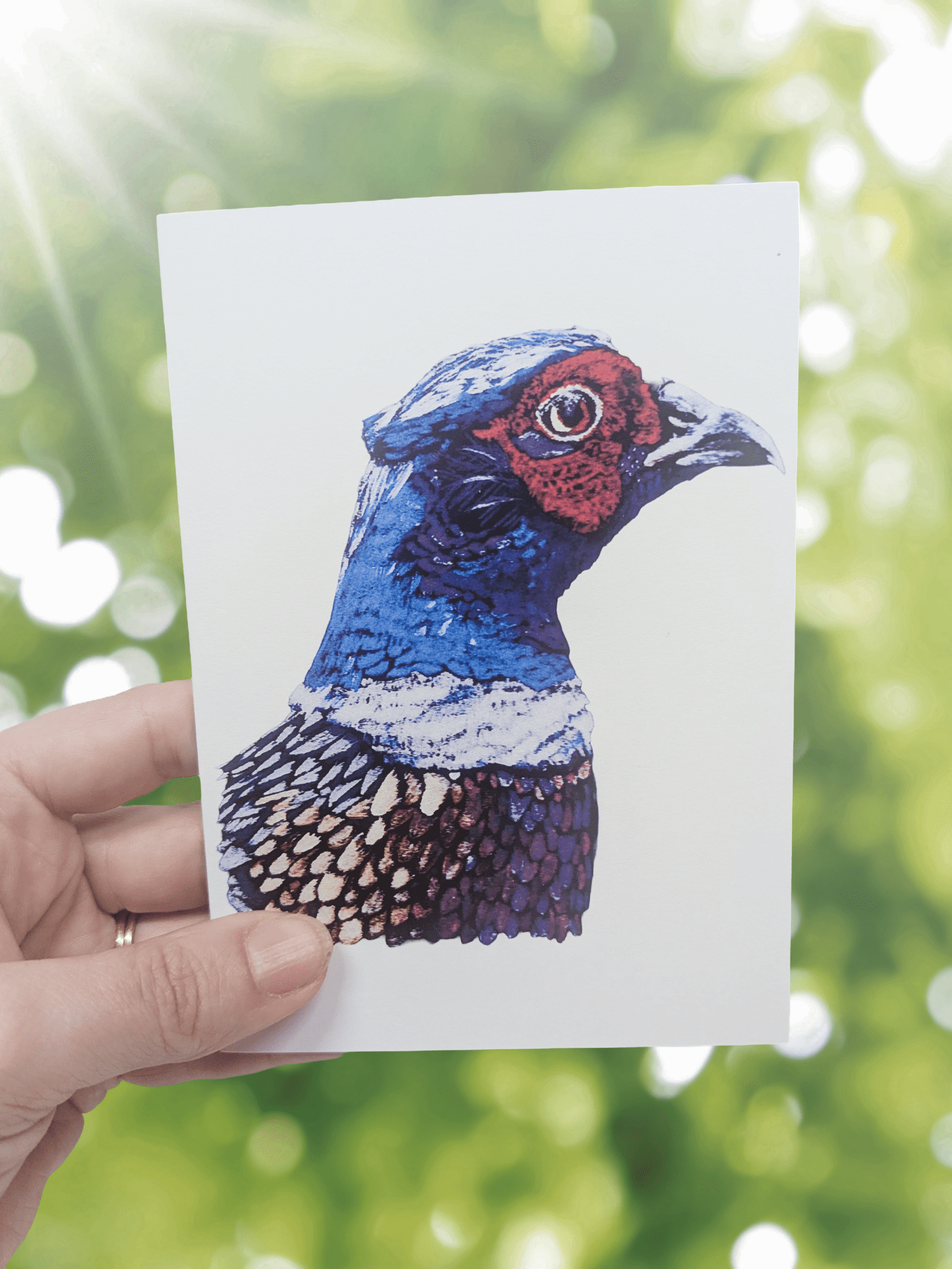 Art Print Greetings Card - Bird Series - Pheasant | Buy Online from The Home Crafters