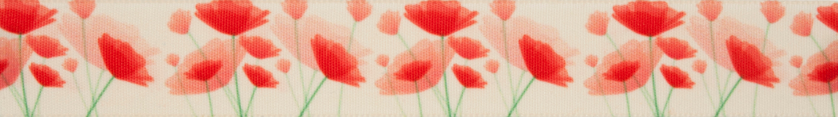Berisfords Ribbon: Painted Poppy - 25mm