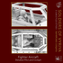 Soldiers of Vyriya Thunderbolt Fighter Aircraft | Buy Online from The Home Crafters