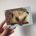 Handmade Wildlife Greetings Card - Hedgehog | Buy Online from The Home Crafters