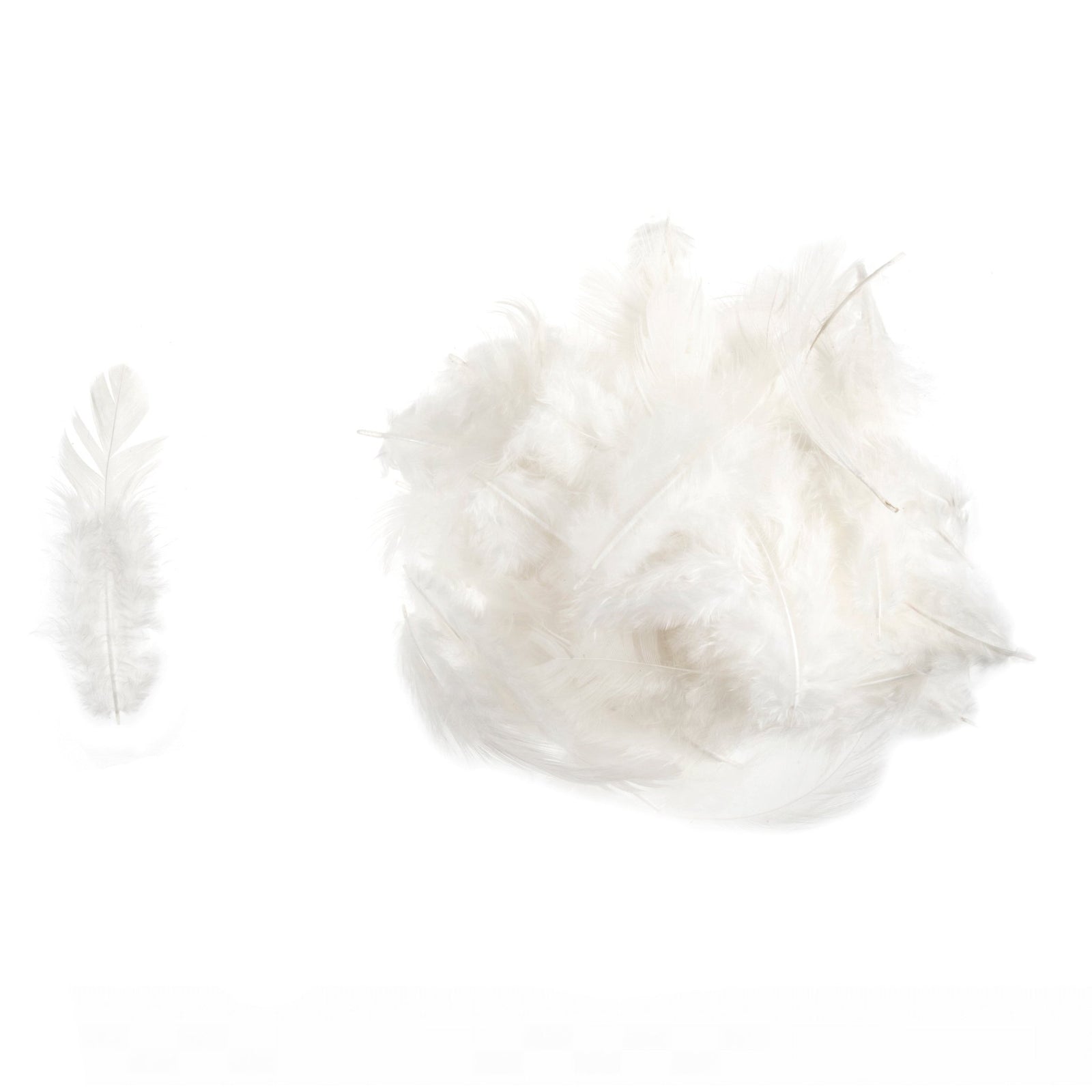 Mixed White Hen Feathers - 30g | Buy Online from The Home Crafters