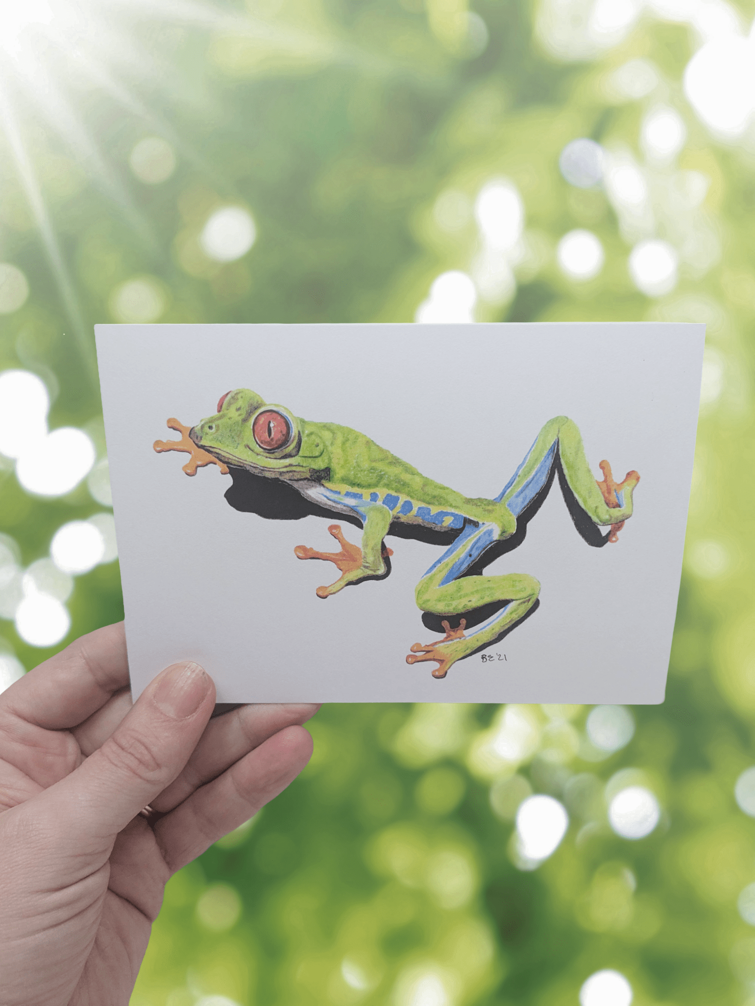 Art Print Greetings Card - Wildlife Series - Tree Frog | Buy Online from The Home Crafters