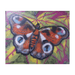 Fairy Fae Greetings Card - Needle Felted Peacock Butterfly | Buy Online from The Home Crafters