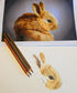 Art for Beginners - Getting Started in Coloured Pencil - monthly on a Saturday