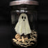 Half Term Crafting for Kids: Pet Ghost in a Jar - Thursday 29th October