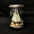 Half Term Crafting for Kids: Pet Ghost in a Jar - Thursday 29th October