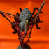 Half Term Crafting for Kids: Clay Spider & Web - Friday 30th October