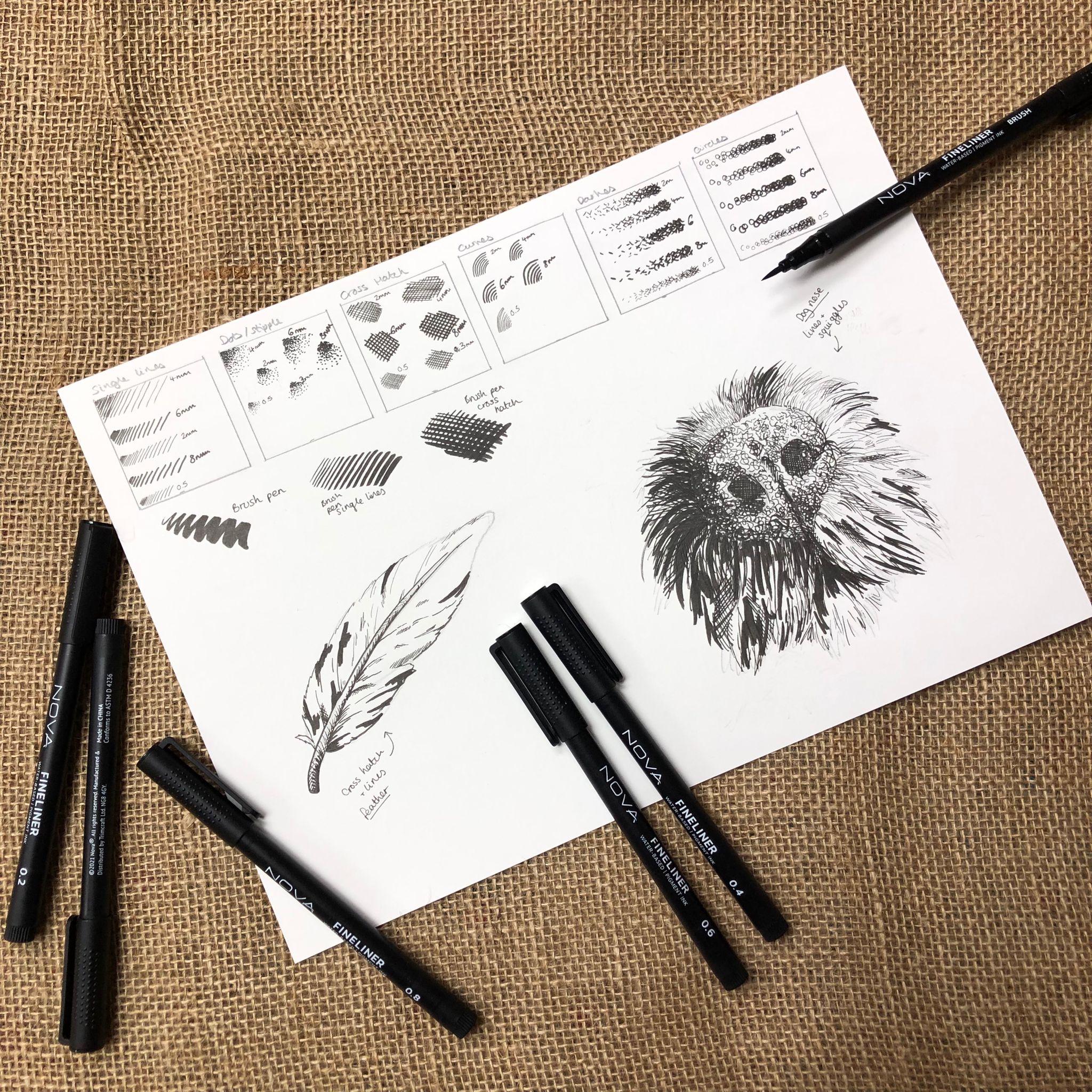 Art for Adults - Introduction to Drawing with Fineliners - Friday 7th February