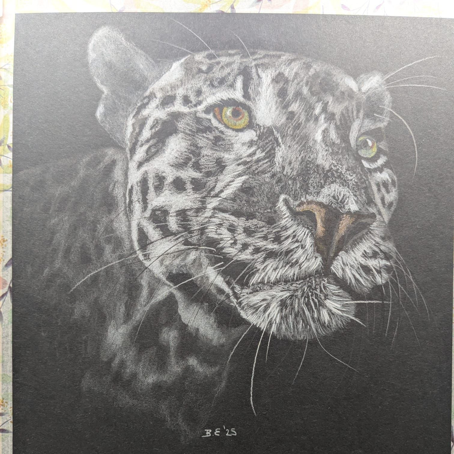 Art for Beginners - Getting Started in Coloured Pencil - monthly on a Saturday