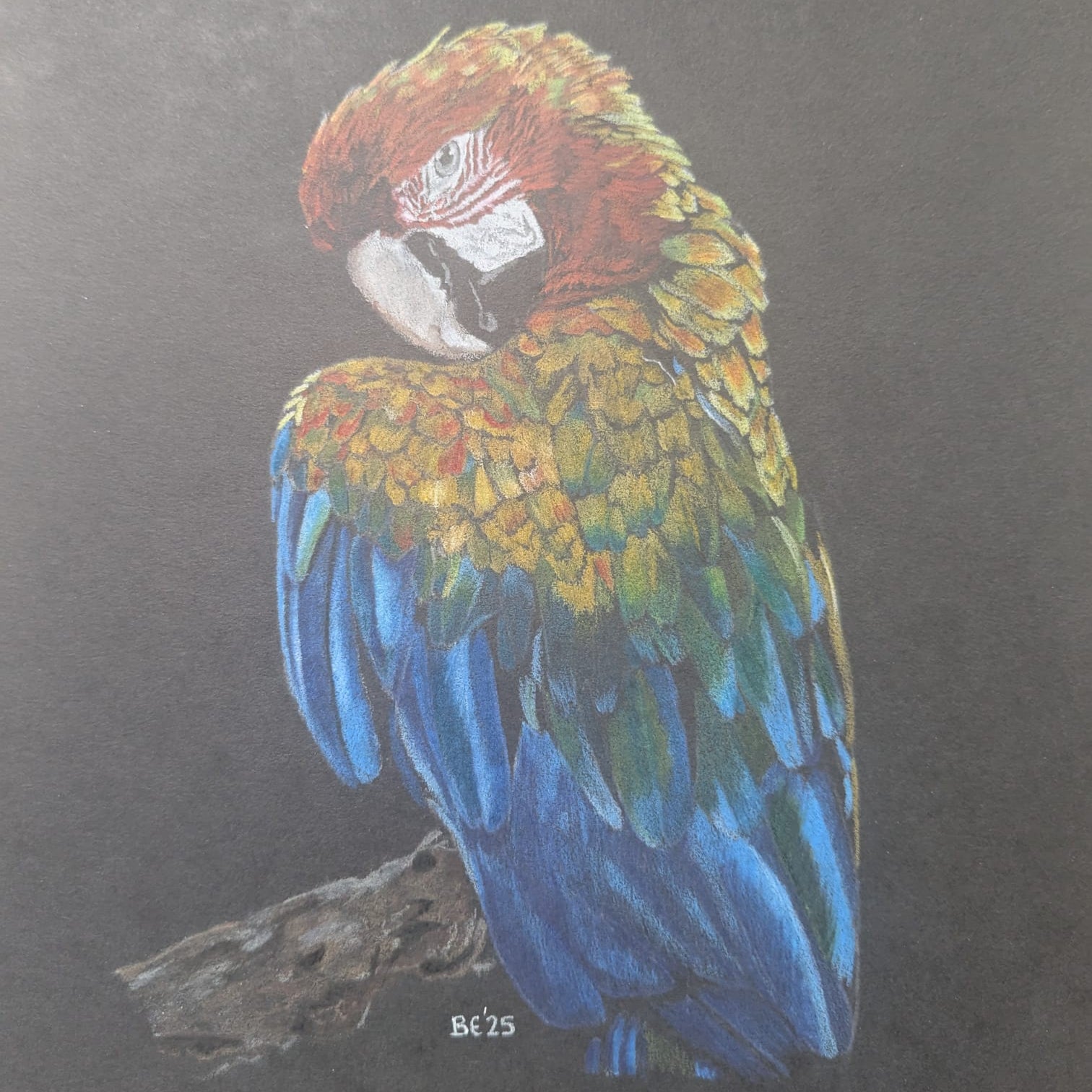 Art for Beginners - Getting Started in Coloured Pencil - monthly on a Saturday