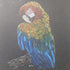 Art for Beginners - Getting Started in Coloured Pencil - monthly on a Saturday