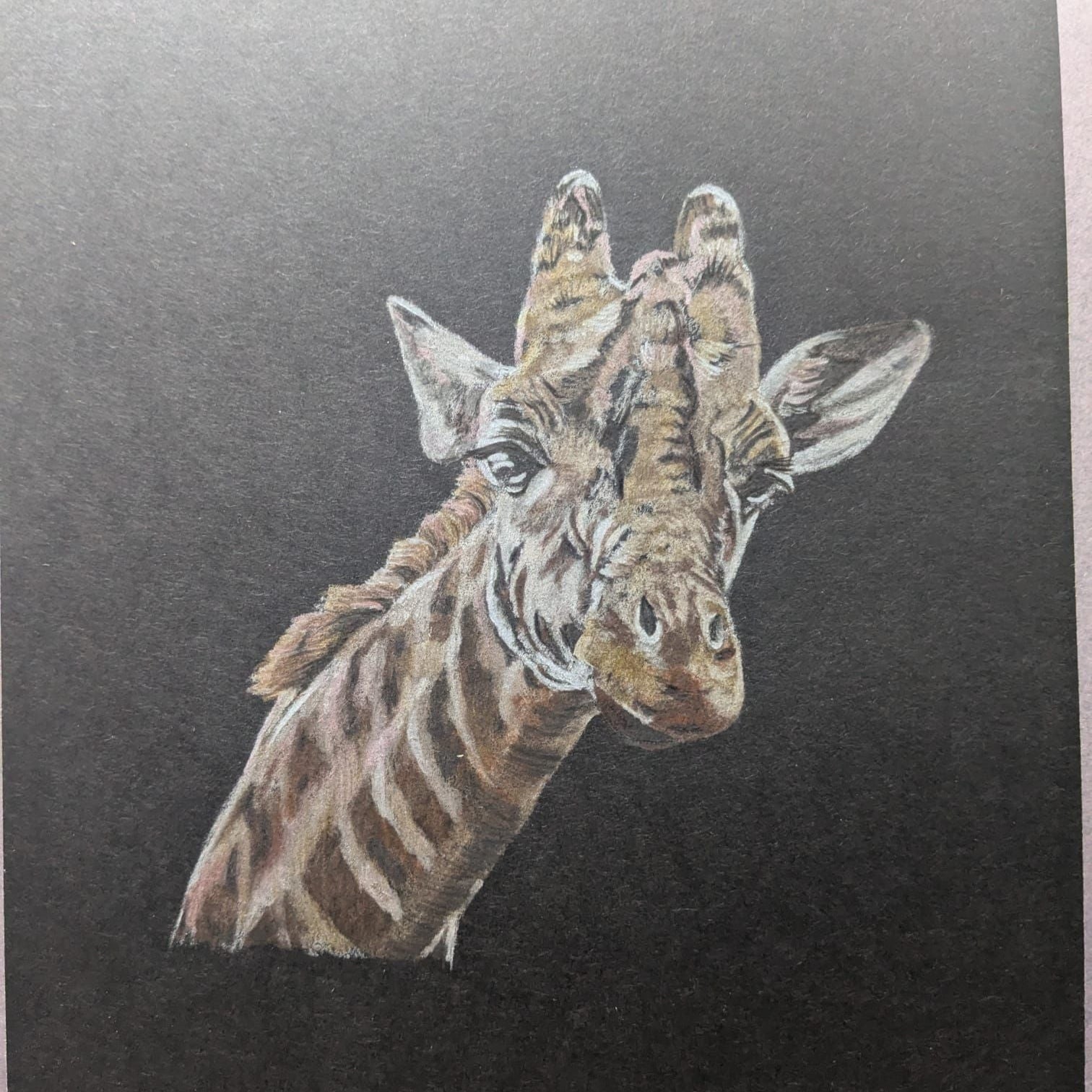 Art for Beginners - Getting Started in Coloured Pencil - monthly on a Saturday | Buy Online from The Home Crafters