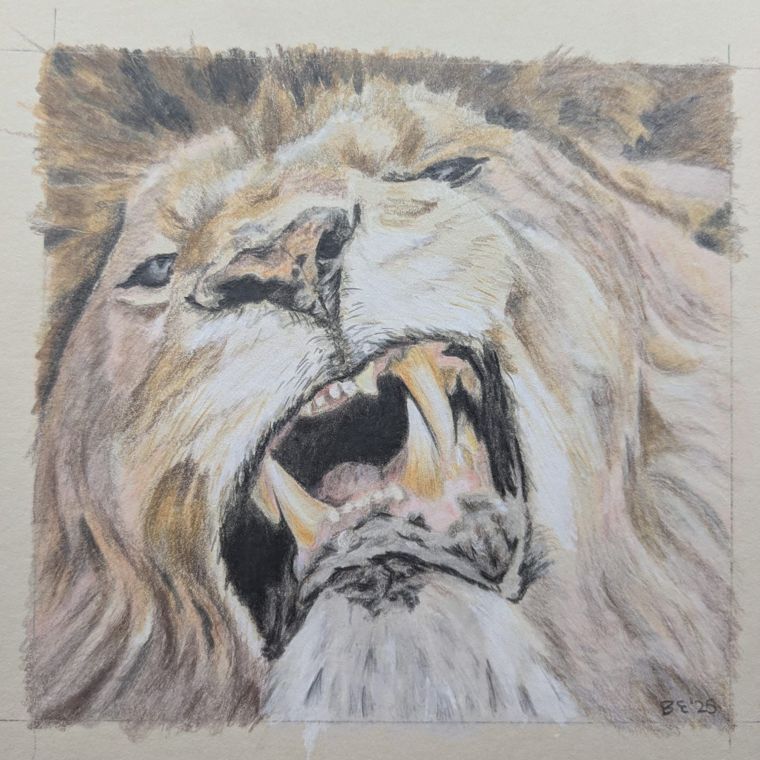 Art for Beginners - Getting Started in Coloured Pencil - monthly on a Saturday | Buy Online from The Home Crafters