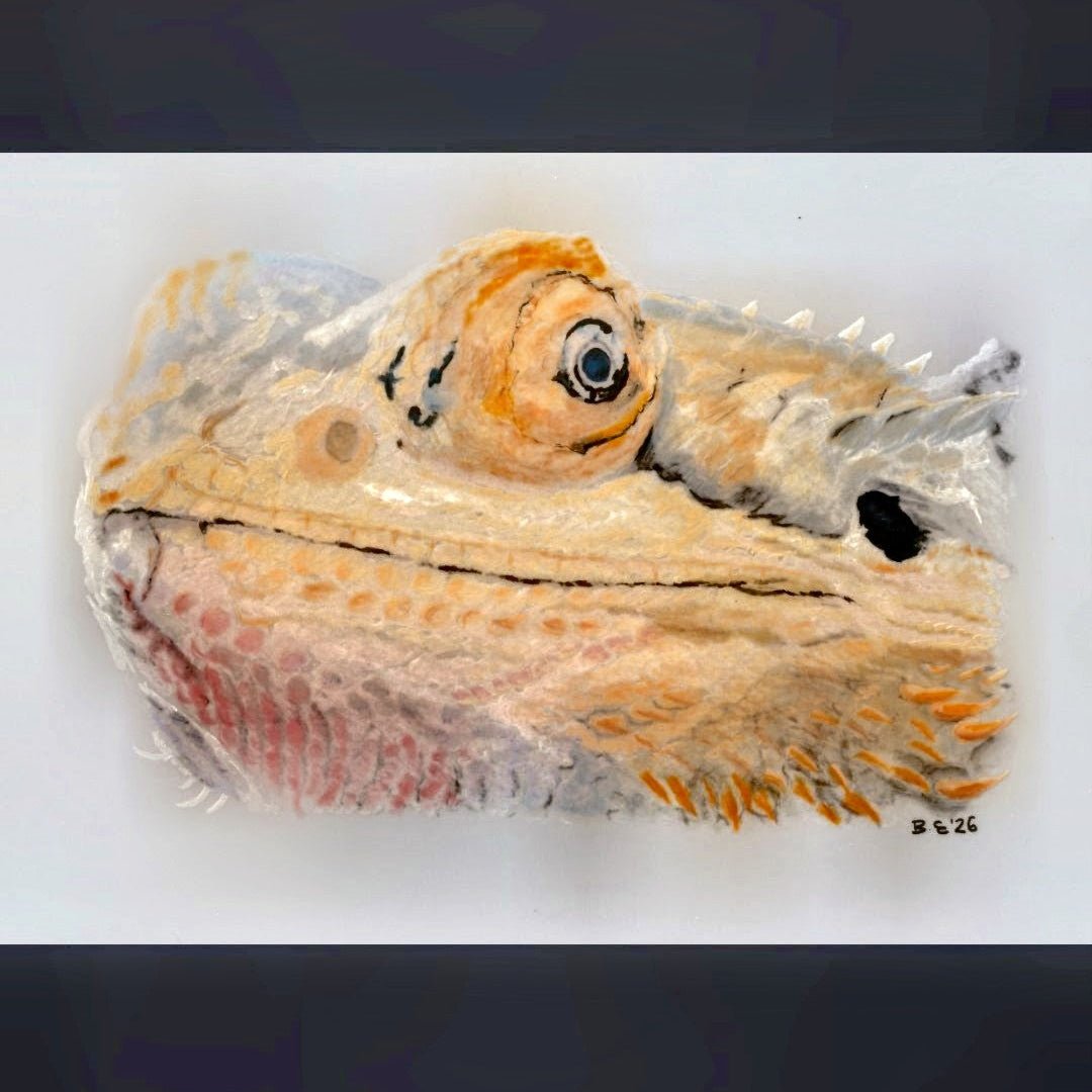 Art for Beginners - Getting Started in Coloured Pencil - monthly on a Saturday | Buy Online from The Home Crafters