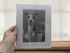 Whippet Giclee Art Print - A5 | Buy Online from The Home Crafters