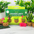 Pocket Crochet Craft Kits – Mini Houseplants