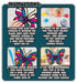 Butterfly Clay Colouring Kit