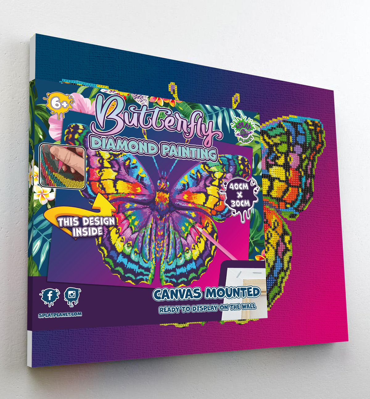 Butterfly Diamond painting