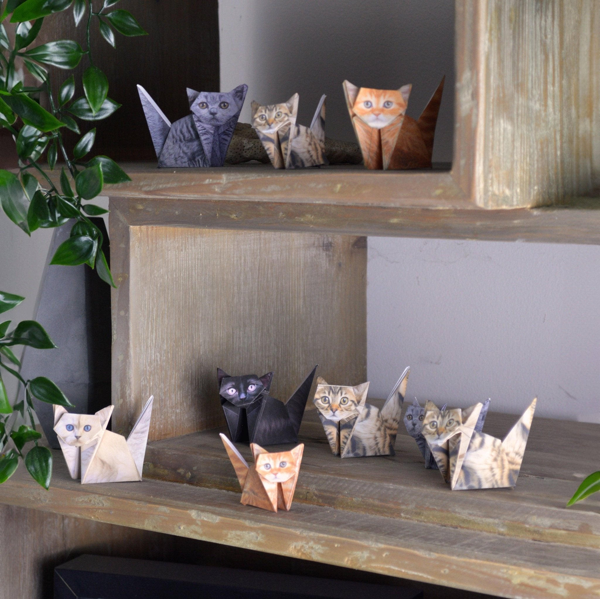 Paper Cats | Perfect For Cat Lovers | Cute DIY Origami Kit | Buy Online from The Home Crafters