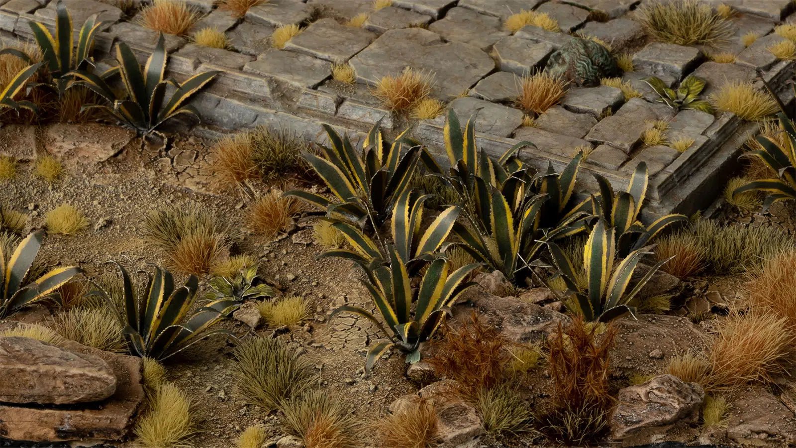Gamers Grass Laser Plants - Agave