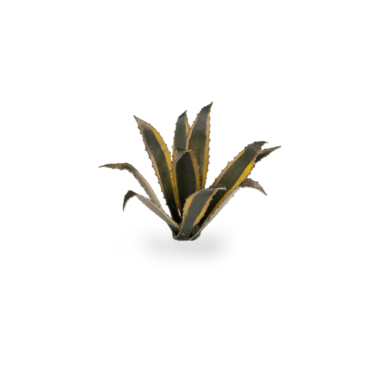 Gamers Grass Laser Plants - Agave