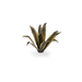 Gamers Grass Laser Plants - Agave | Buy Online from The Home Crafters