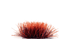 Gamers Grass 6mm Grass Tufts - Alien Blood Moon | Buy Online from The Home Crafters