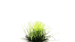 Gamers Grass 6mm Grass Tufts - Alien Toxic | Buy Online from The Home Crafters
