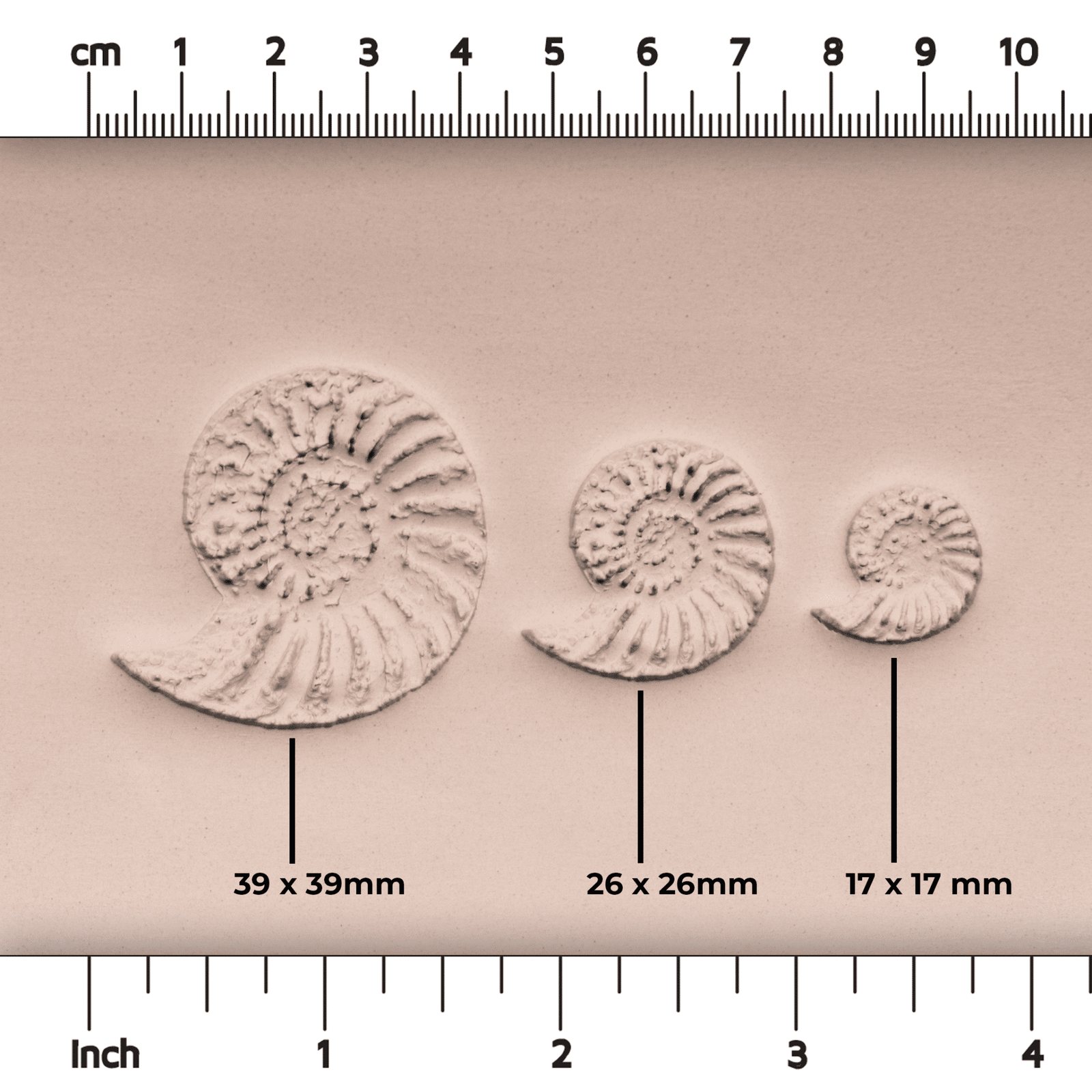 Ammonite Fossil Shell Stamp - Photo Textured - Style 1 | Buy Online from The Home Crafters
