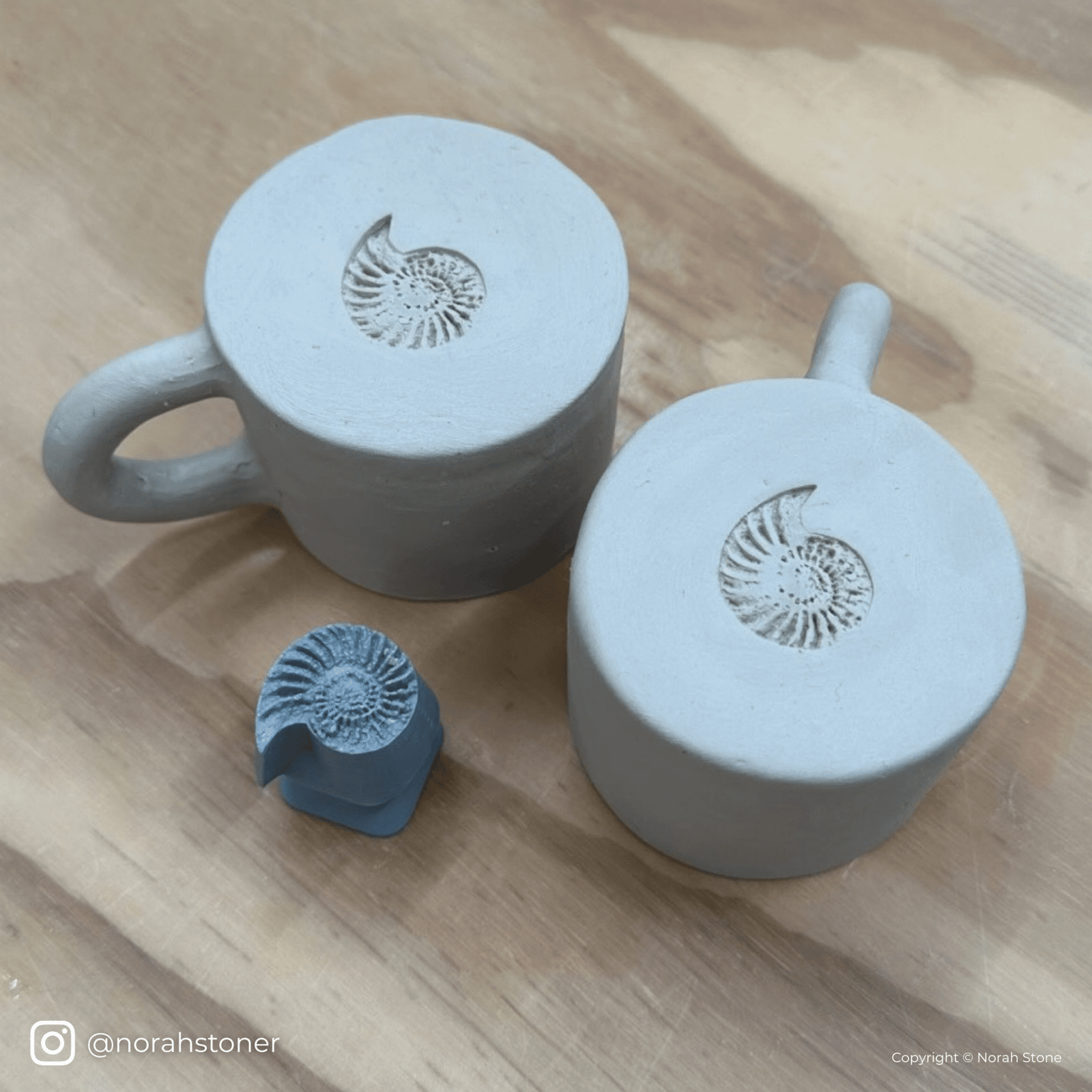 Ammonite Fossil Shell Stamp - Photo Textured - Style 1 | Buy Online from The Home Crafters