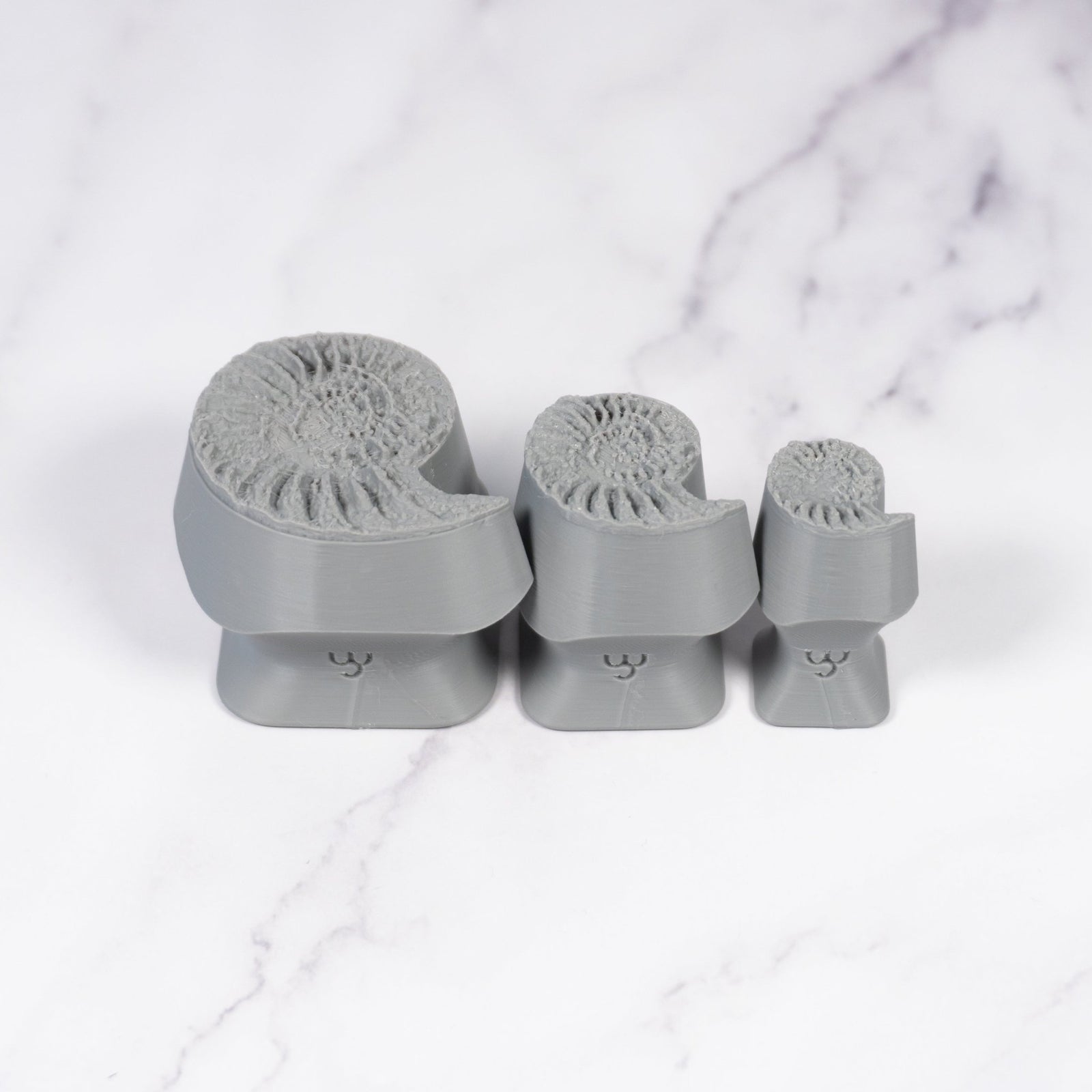 Ammonite Fossil Shell Stamp - Photo Textured - Style 1 | Buy Online from The Home Crafters