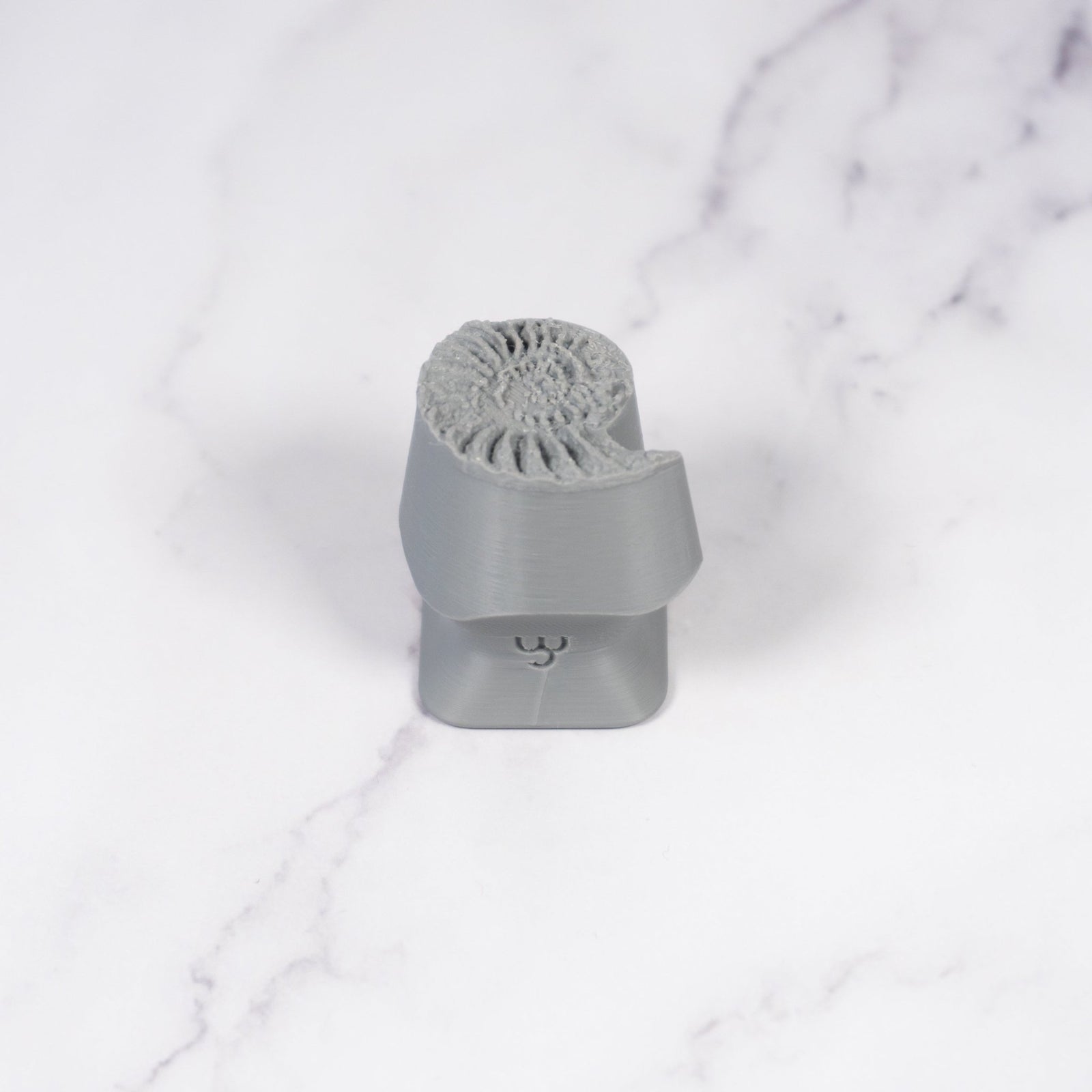 Ammonite Fossil Shell Stamp - Photo Textured - Style 1 | Buy Online from The Home Crafters