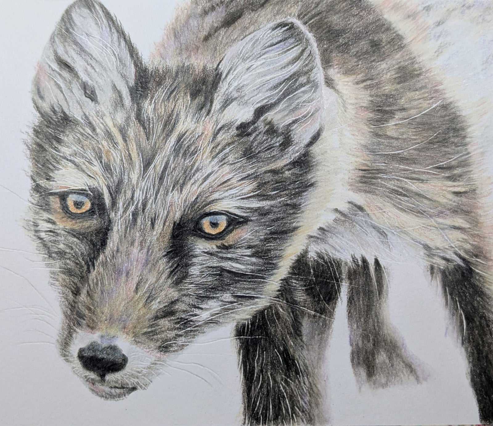 Art for Beginners - Getting Started in Coloured Pencil - monthly on a Saturday | Buy Online from The Home Crafters
