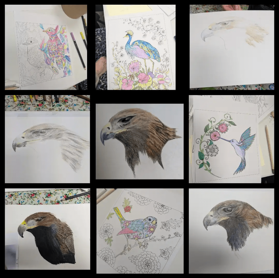 Art for Beginners - Getting Started in Coloured Pencil - monthly on a Saturday | Buy Online from The Home Crafters