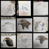 Art for Beginners - Getting Started in Coloured Pencil - monthly on a Saturday | Buy Online from The Home Crafters