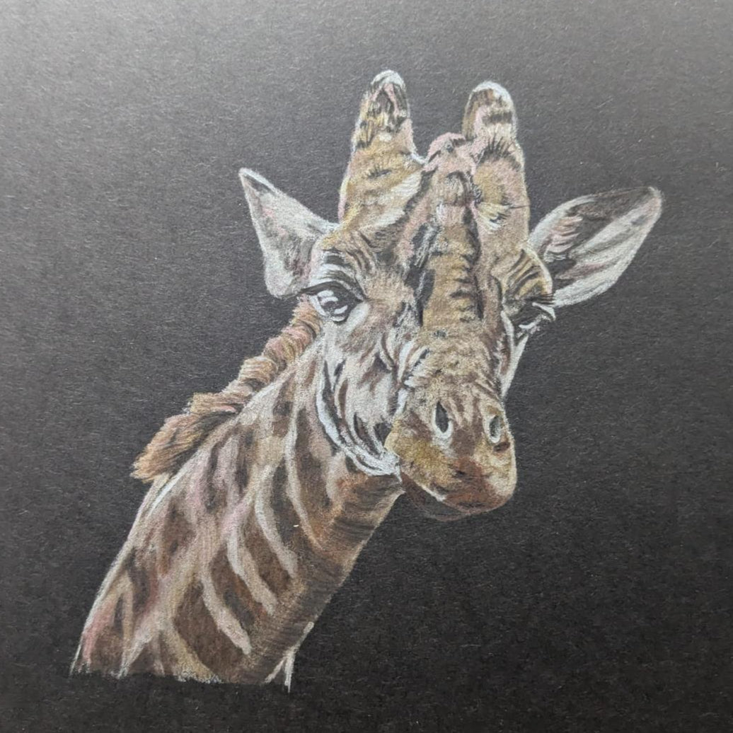 Art for Beginners - Getting Started in Coloured Pencil - monthly on a Saturday | Buy Online from The Home Crafters
