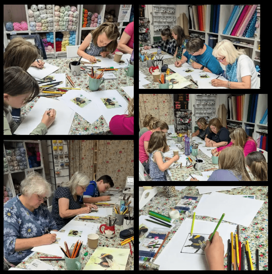 Art for Beginners - Getting Started in Coloured Pencil - monthly on a Saturday | Buy Online from The Home Crafters