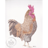 Art Print Greetings Card - Bird Series - Chicken | Buy Online from The Home Crafters