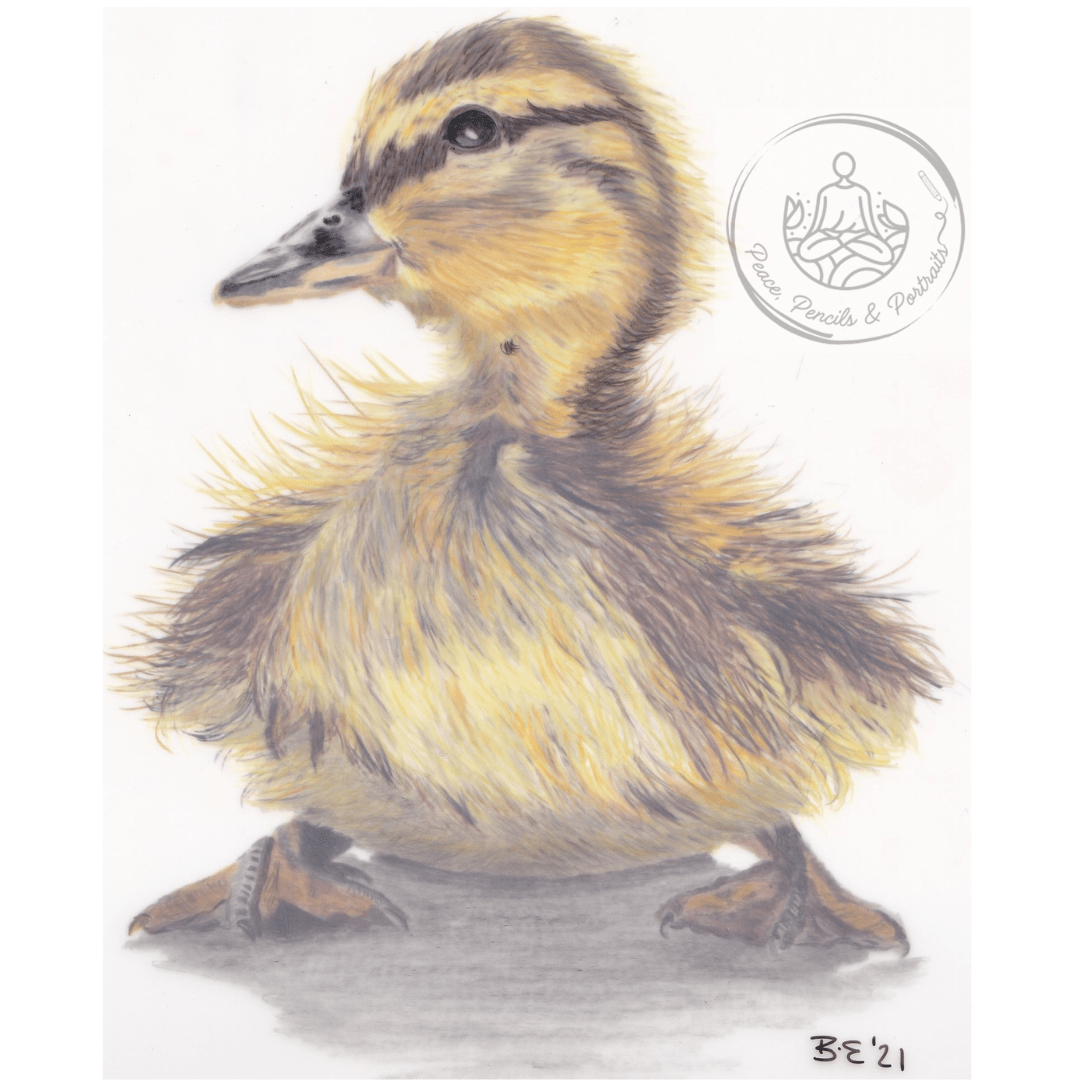 Art Print Greetings Card - Bird Series - Duckling | Buy Online from The Home Crafters