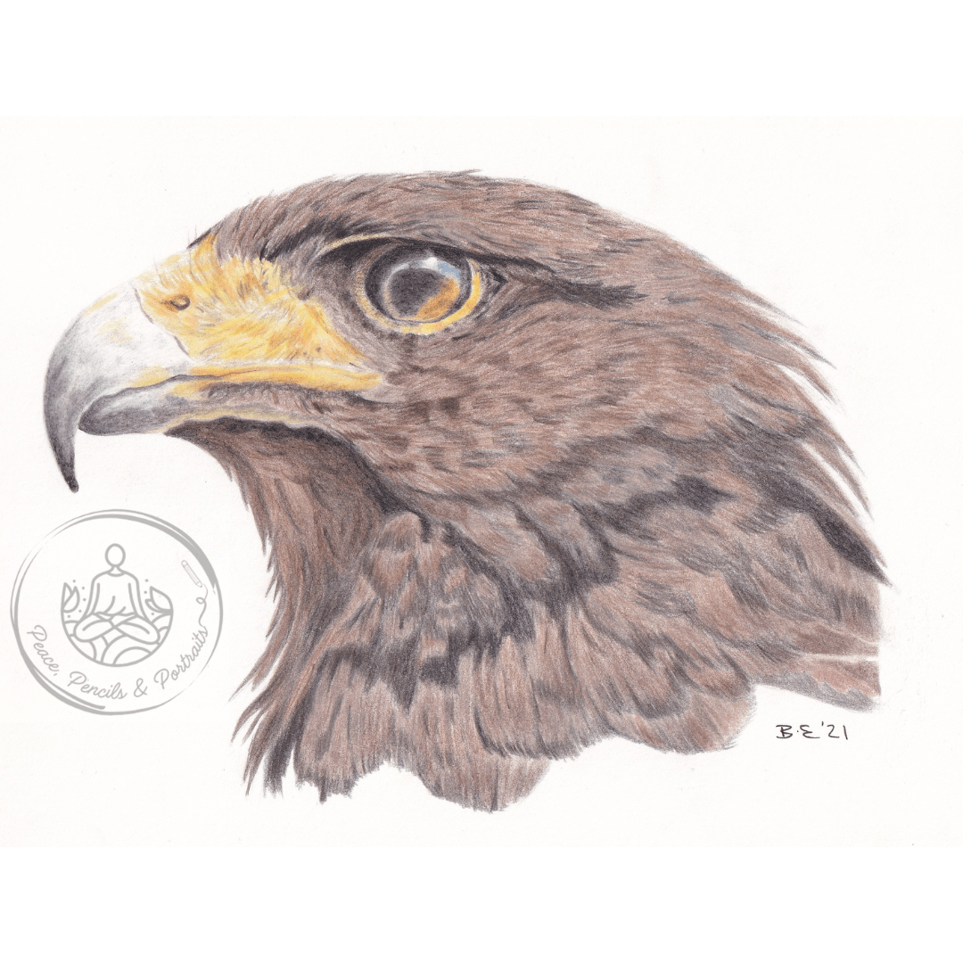 Art Print Greetings Card - Bird Series - Eagle | Buy Online from The Home Crafters