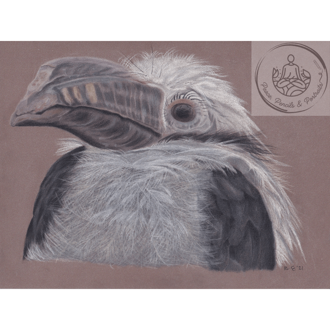 Art Print Greetings Card - Bird Series - Hornbill | Buy Online from The Home Crafters