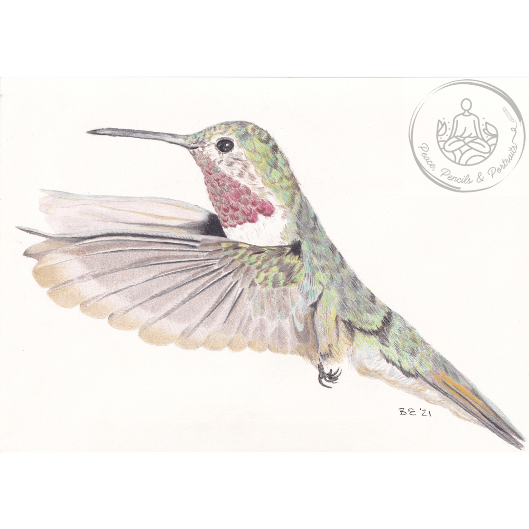 Art Print Greetings Card - Bird Series - Hummingbird | Buy Online from The Home Crafters